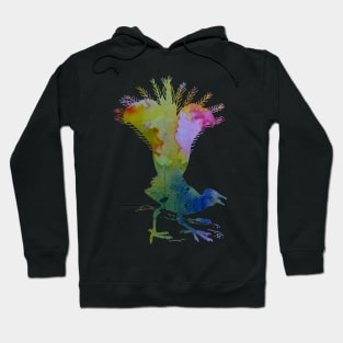 Lyrebird Hoodie